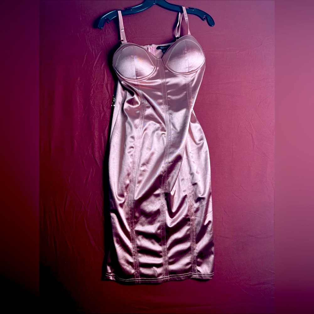 Women Entry Light Pink  Bodycom Back Zipper Dress Stretchy Mini Dress